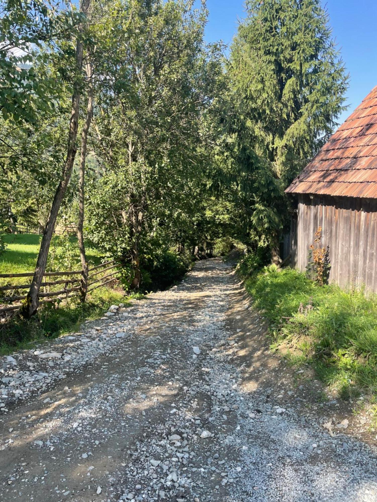 Casa Viorica Hotel Statiunea Eksteriør billede